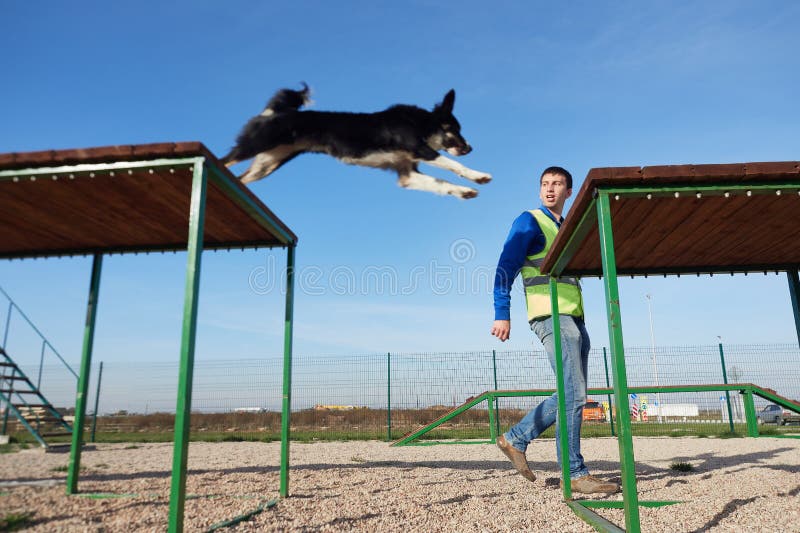 The Process of Training a Service Dog. Difficult Obstacles