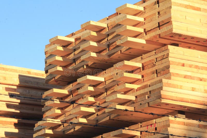 Processed Lumber in Lumberyard