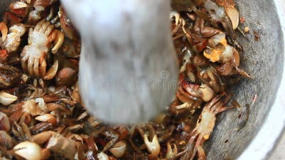 Processing Food from Shrim and Crab by Mortar and Pestle Stock Video -  Video of exotic, fried: 55684921