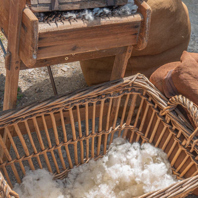 Processing Sheep Wool on an Old Wooden Machine Stock Photo Image of