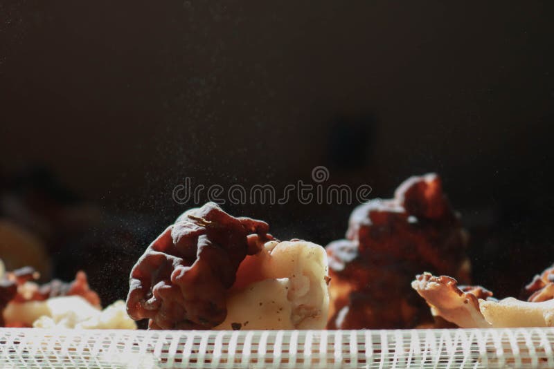 Processo de Dehidratation de um morel da neve imagens de stock royalty free Processo de Dehidratation de um morel da neve imagens de stock royalty free
