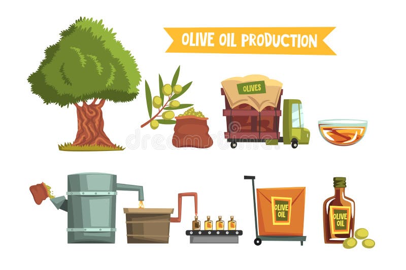 Processo di produzione di petrolio di olio d'oliva da coltivazione all'albero crescente del prodotto finito, raccogliere, inviant royalty illustrazione gratis Processo di produzione di petrolio di olio d'oliva da coltivazione all'albero crescente del prodotto finito, raccogliere, inviant royalty illustrazione gratis
