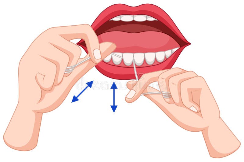 Processus de flossing des dents illustration libre de droits Processus de flossing des dents illustration libre de droits