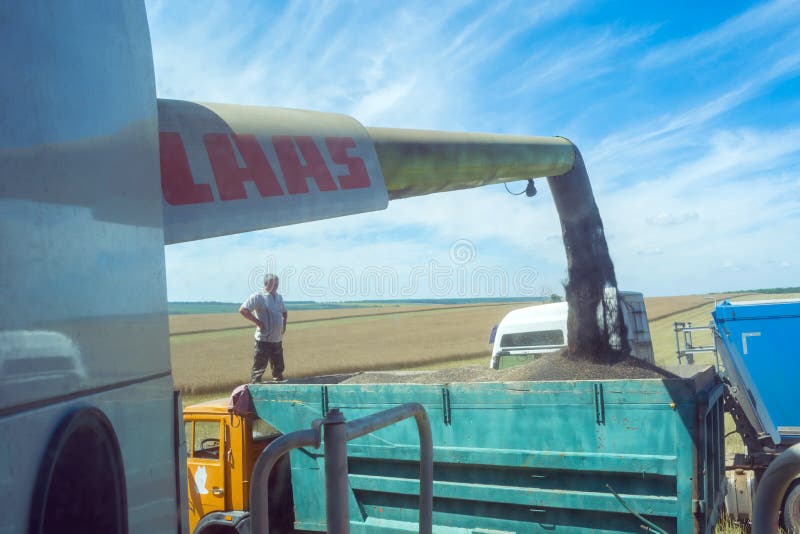 Processus de viol moissonnant par des moissonneuses usines dans des moissonneuses Déchargement de camion photo libre de droits