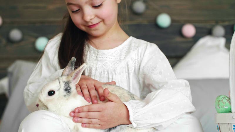 Proche de la fille mignonne frotter le lapin clips vidéos