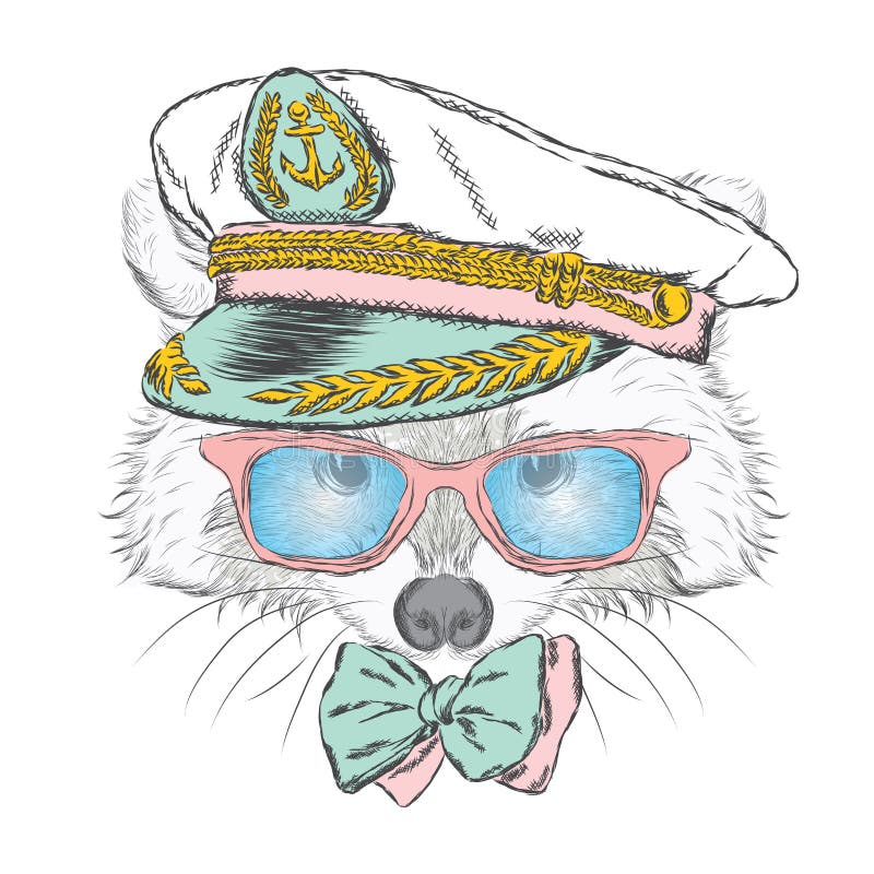 Procione sveglio nel cappuccio del ` s di capitano Illustrazione di vettore royalty illustrazione gratis Procione sveglio nel cappuccio del ` s di capitano Illustrazione di vettore royalty illustrazione gratis