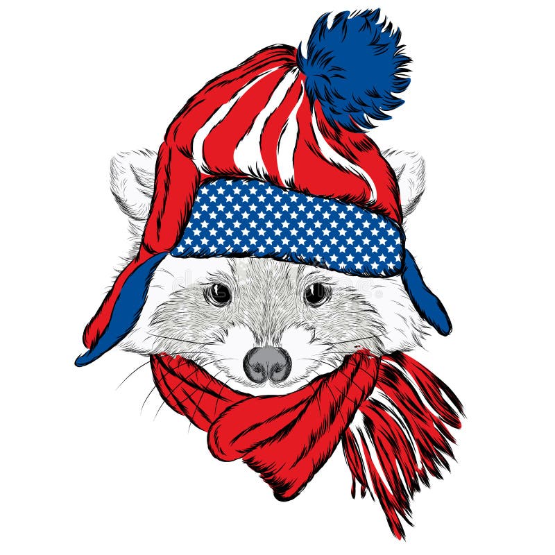 Procione in un cappuccio ed in una sciarpa Vettore sveglio del Raccoon stampa royalty illustrazione gratis Procione in un cappuccio ed in una sciarpa Vettore sveglio del Raccoon stampa royalty illustrazione gratis