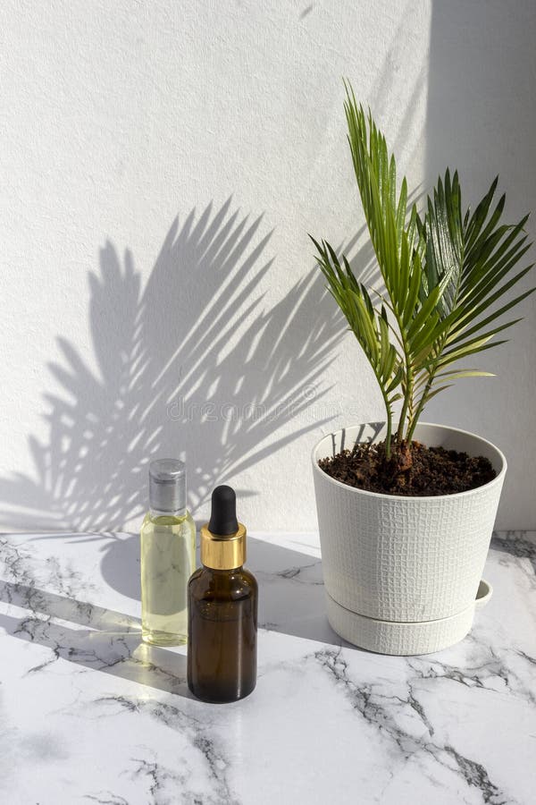 Prodotti cosmetici dello skincare su fondo di marmo con l'ombra delle foglie di palma Bottiglia di vetro di olio naturale, concet fotografia stock libera da diritti Prodotti cosmetici dello skincare su fondo di marmo con l'ombra delle foglie di palma Bottiglia di vetro di olio naturale, concet fotografia stock libera da diritti