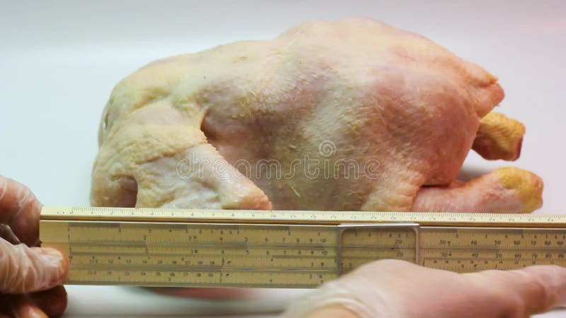 Prodotti per il controllo della qualità carne di pollo, carne di pollo, carcassa