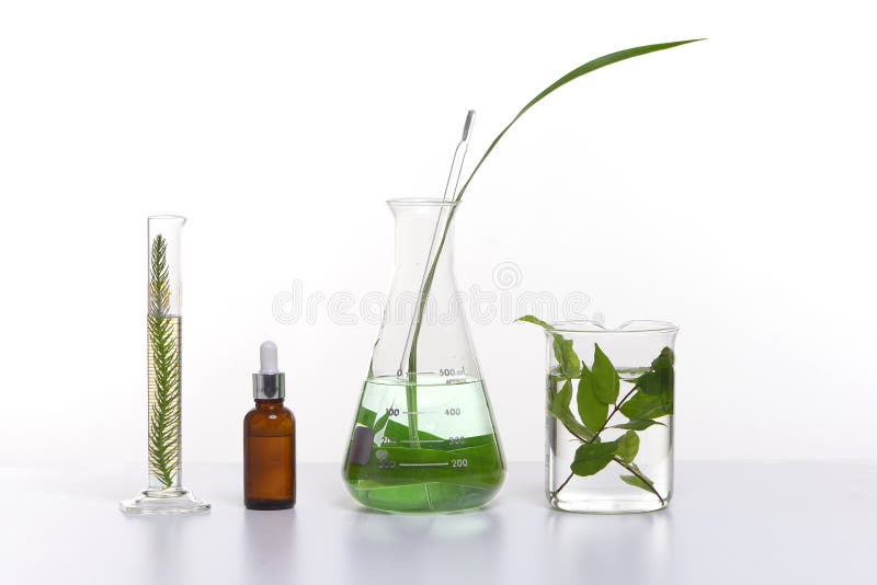Prodotto naturale con gli ingredienti di erbe, primo piano dei cosmetici di bellezza fotografia stock Prodotto naturale con gli ingredienti di erbe, primo piano dei cosmetici di bellezza fotografia stock
