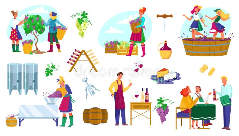 Producción De Vinificación Ilustraciones Vectoriales Dibujos Animados  Personajes De Vino Plano Trabajar Producir Productos De Vino Ilustración  del Vector - Ilustración de alimento, cristal: 200976439