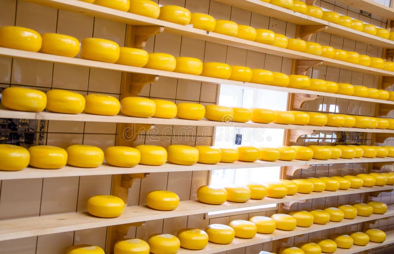 Fabricación Del Queso En Países Bajos. Foto de archivo - Imagen de