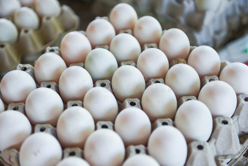 Produce Eggs Fresh from the Farm Organic Fresh Eggs White Duck Egg