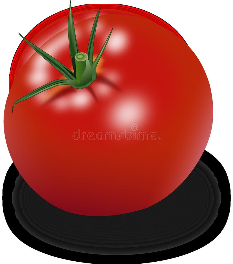 Produce, Fruit, Vegetable, Tomato Picture. Image 95608807