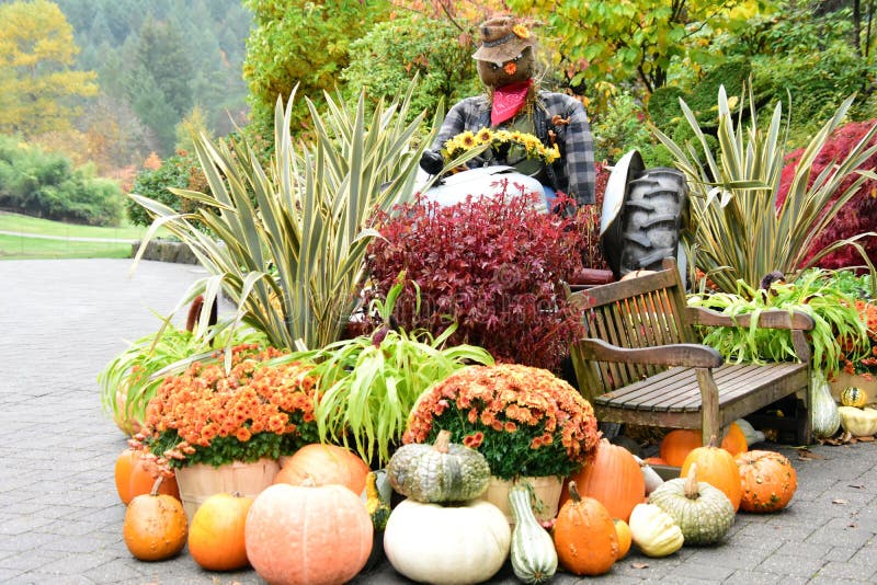Produces from the fall harvest are used to decorate the garden. royalty free stock photos Produces from the fall harvest are used to decorate the garden. royalty free stock photos