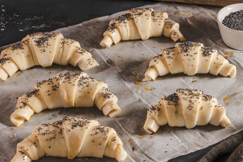 Producing classic small croissants at home or cafe. French pastry goods. Family cooking concept. Prepare croissant for bake. Producing classic small croissants at home or cafe. French pastry goods. Family cooking concept. Prepare croissant for bake.