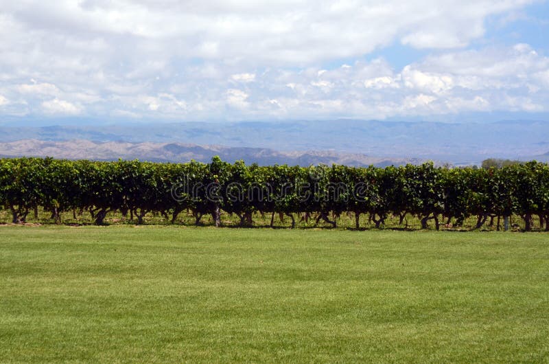 Production de vin image stock