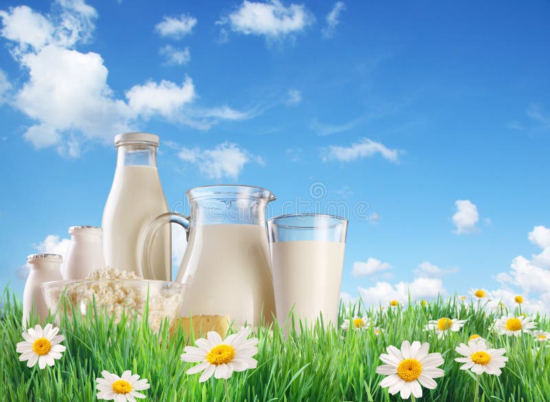 Dairy produce on the grass with chamomiles. On a background of the summer sky with clouds. Dairy produce on the grass with chamomiles. On a background of the summer sky with clouds.