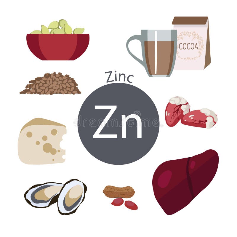 Productos ricos con cinc Un sistema de comidas orgánicas orgánicas con un alto contenido de la vitamina stock de ilustración