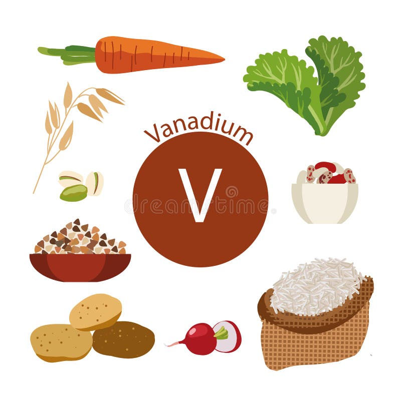 Productos ricos con vanadio Un sistema de comidas orgánicas orgánicas con un alto contenido mineral. Productos ricos con vanadio Bases de la comida sana Composición de productos orgánicos naturales y la muestra del vanadio en un fondo blanco Forma de vida sana