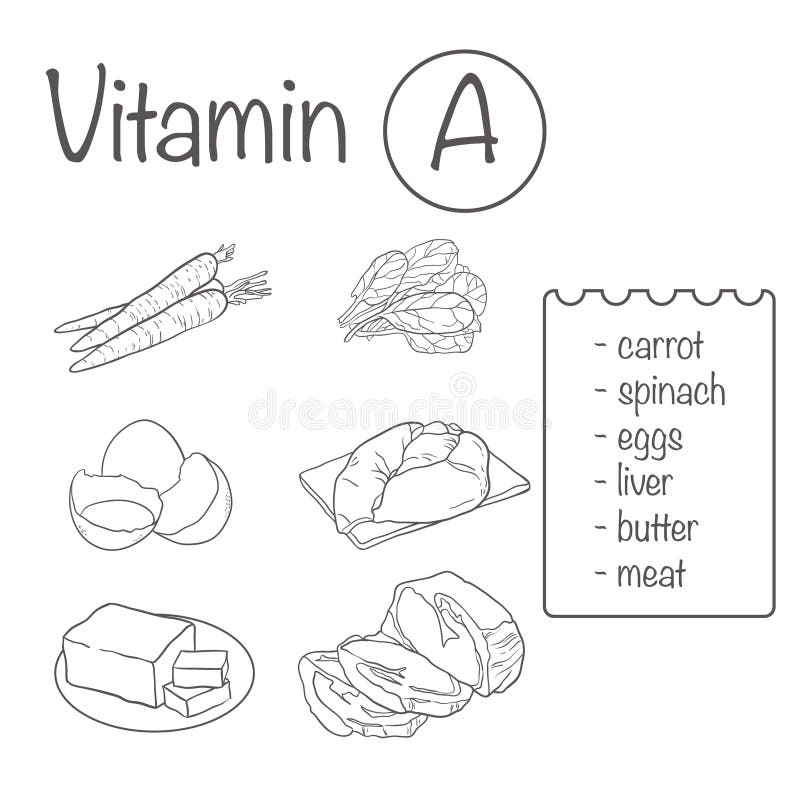 Carrot With Vitamin A, K, C And Minerals Stock Vector Illustration of