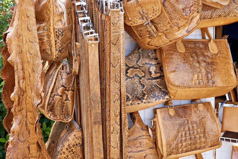 178 Reptile Products Stock Photos - Free & Royalty-Free Stock Photos