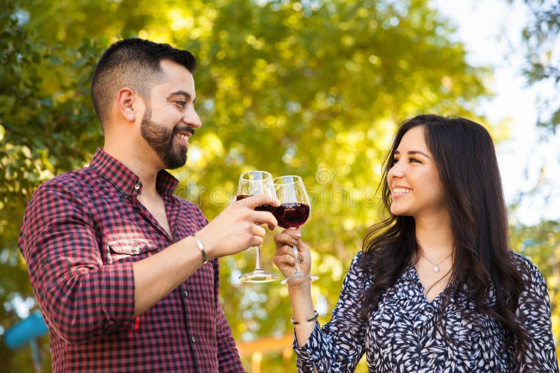 Facendo un brindisi a un picnic fotografia stock libera da diritti