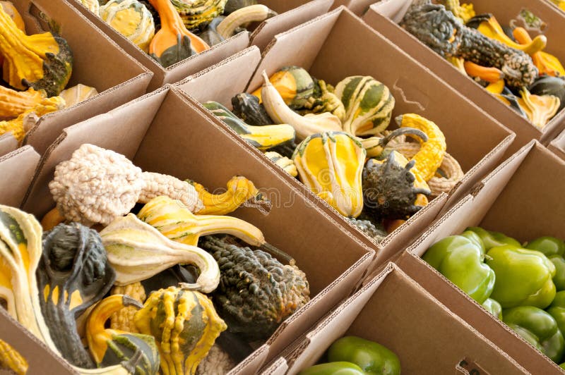 Boxes of gourds and peppers at a farm produce market. Boxes of gourds and peppers at a farm produce market