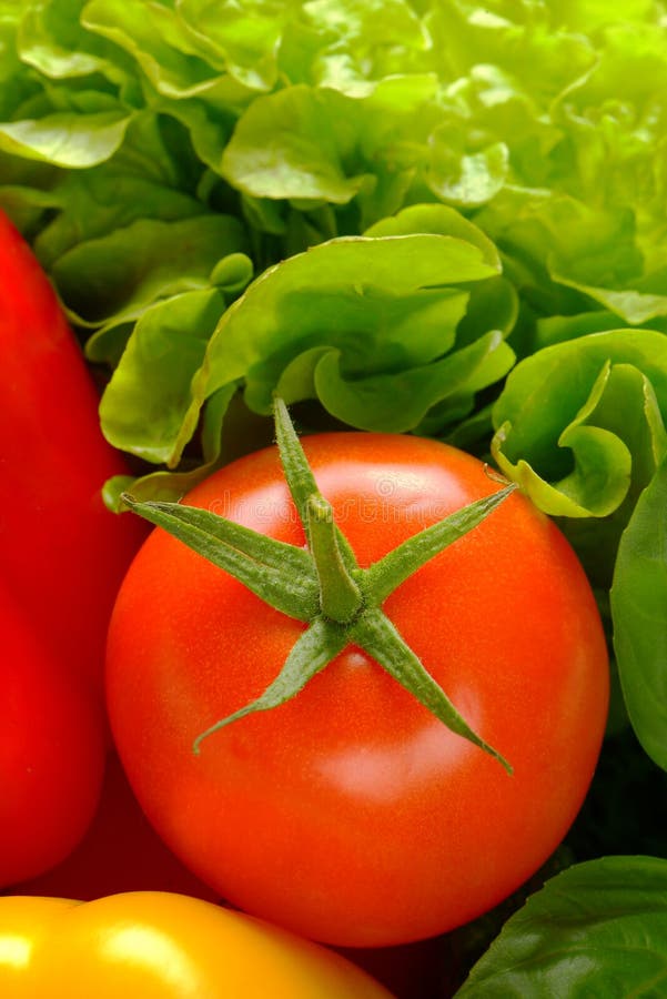 Produto-vegetais frescos de vegetables imagem de stock royalty free Produto-vegetais frescos de vegetables imagem de stock royalty free