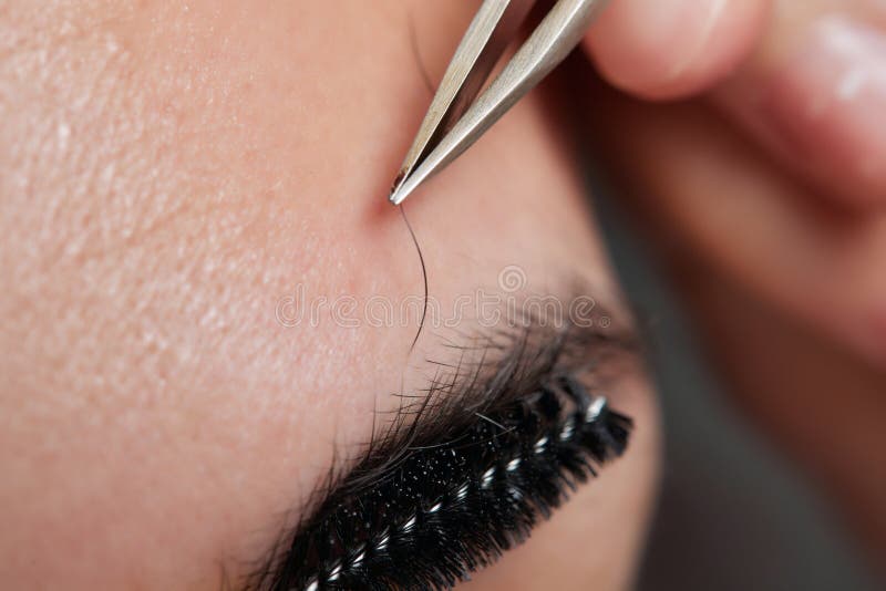 Professional barber doing threading procedure and correcting shape of eyebrows to young male client with tweezer in stock image