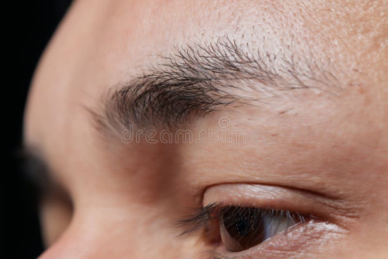 Professional barber doing threading procedure and correcting shape of eyebrows to young male client with tweezer in royalty free stock image