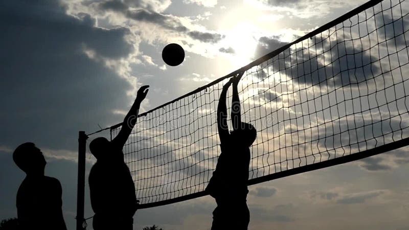 Volleyball Net on the Beach Near Palm Three in Slow Motion. Stock ...