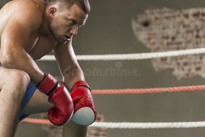 Professional Boxer Taking Rest Stock Image Image of martial, boxer