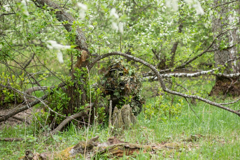 Camouflaged Hunter In Jungle Like Area With Sniper Rifle , He Must Blend  Into Surrounding To Not Be Detected Stock Photo, Picture and Royalty Free  Image. Image 67250301.