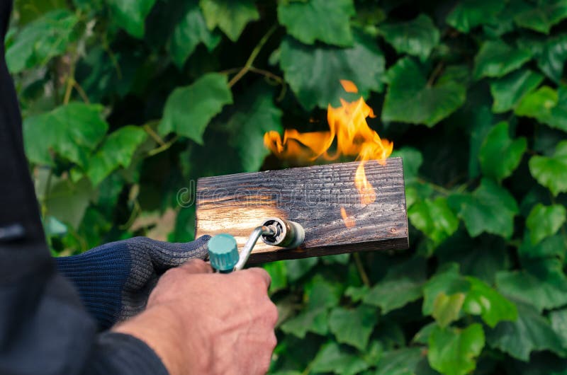 Professional Carpenter Using Old Traditional Technique. Burning Wood