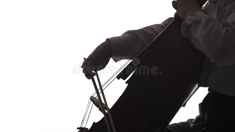 Professional cellist starting to play the cello and moving the fingers of the left hand along the fingerboard, and the stock video