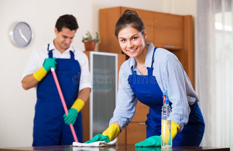 Professional Cleaners at the Work Stock Photo Image of domestic