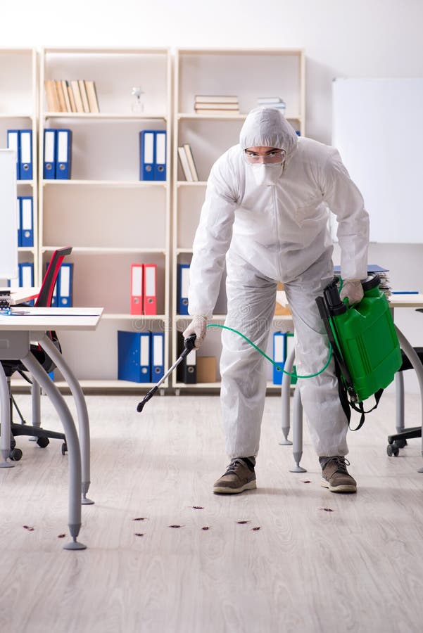 The Professional Contractor Doing Pest Control at Office Stock Photo