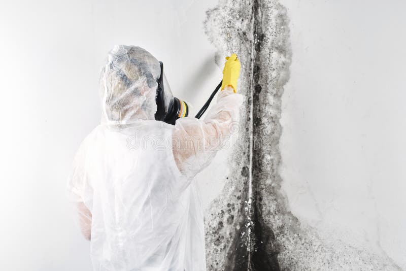 Black Mold Removal is Possible But Difficult