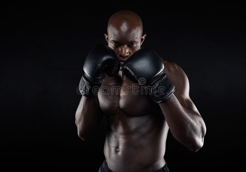 Professional fighter ready for fight royalty free stock photo Professional fighter ready for fight royalty free stock photo