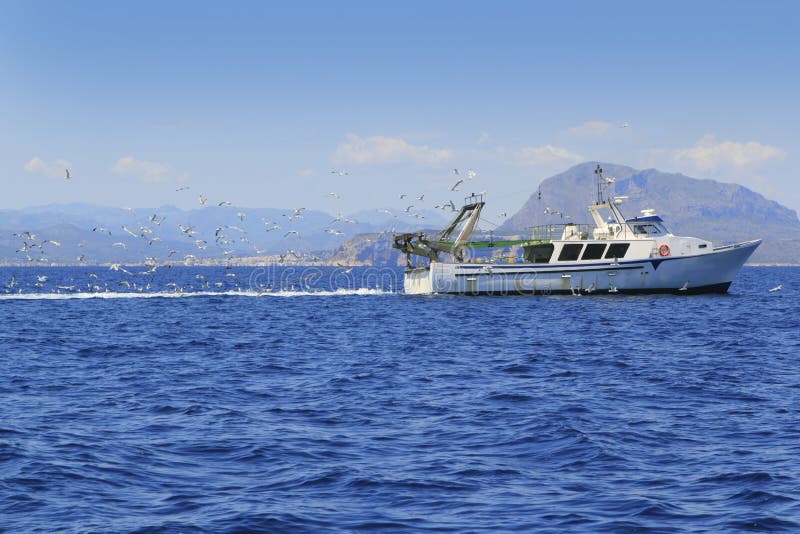 Professional fisherboat many seagulls blue ocean