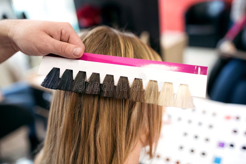Professional hairdresser choose hair dye color at salon royalty free stock photo Professional hairdresser choose hair dye color at salon royalty free stock photo