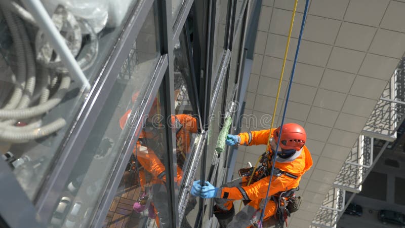 Industrial climber washes windows outside multi-storey building with moss coat, slow motion