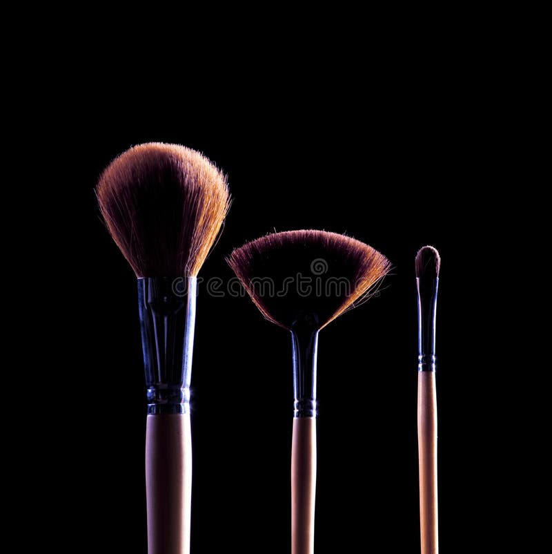 Professional makeup brushes