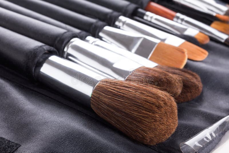 Professional Makeup Brushes in Compact Case Stock Image Image of