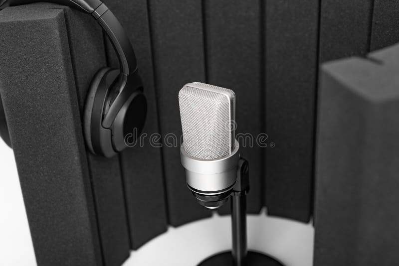 Professional Microphone and a Studio Microphone Screen for Recording in