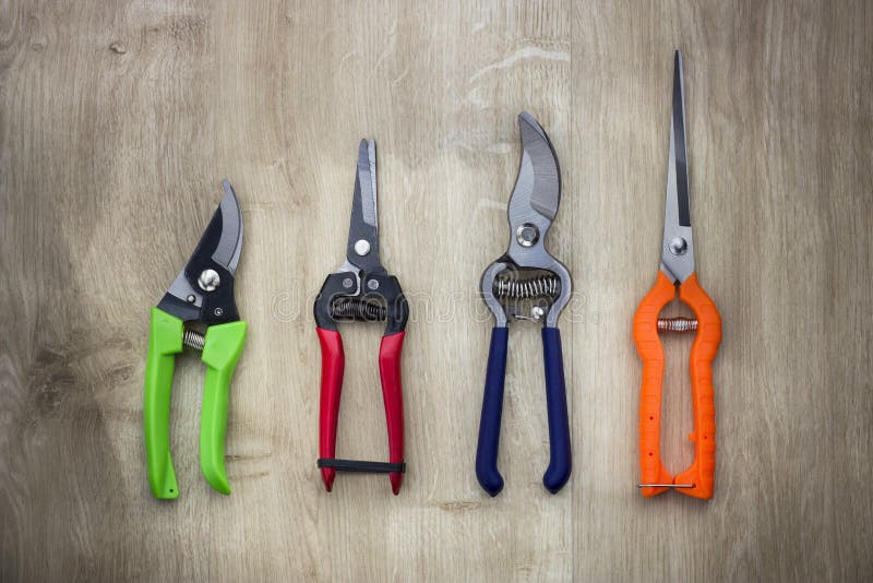 Professional Sharp Bypass Pruning Shears, Tree Trimmers Secateurs, Hand