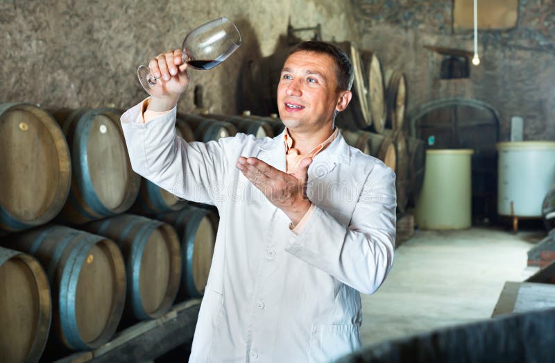 Professional Taster Posing with Glass of Wine Stock Image Image of