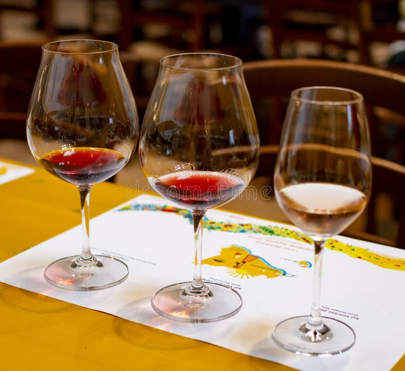 Professional Wine Tasting, Sommelier Course, Cold Rose and Red Dry Wine