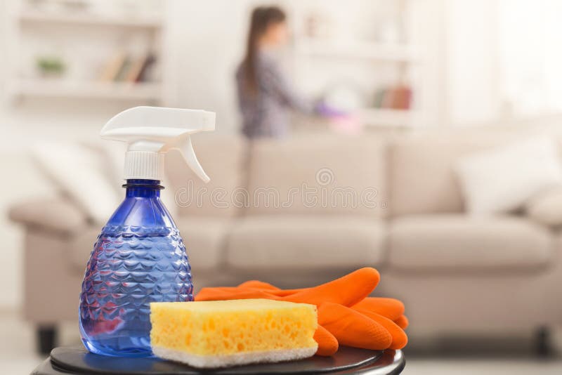 Professioneel het schoonmaken de dienstconcept, royalty-vrije stock afbeelding Professioneel het schoonmaken de dienstconcept, royalty-vrije stock afbeelding